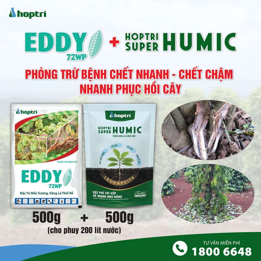 Thuốc trừ bệnh Eddy 72WP - Gói 300g